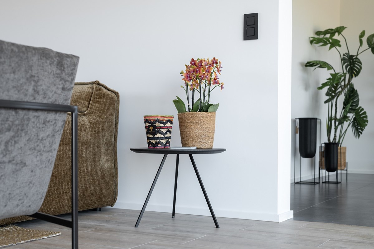 Delta-Constructions-Maison-Contemporaine-ramillies_rue_frete-0001-0037