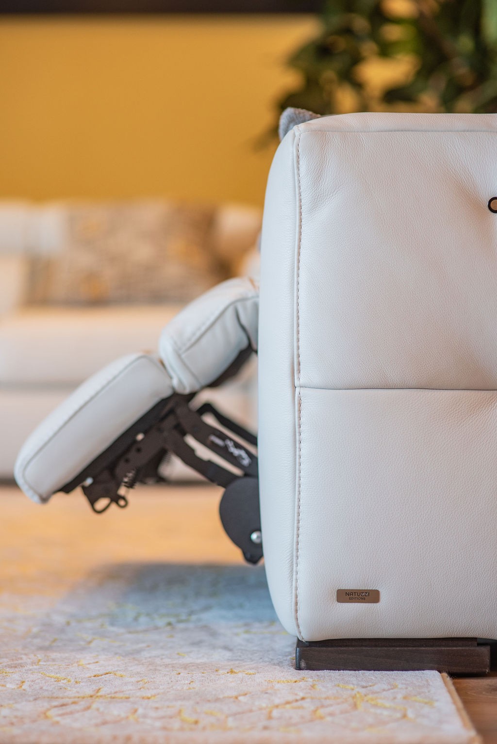 meubles_mailleux_264